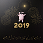 超酷2019黑金新年猪猪侠和兔子高清素材