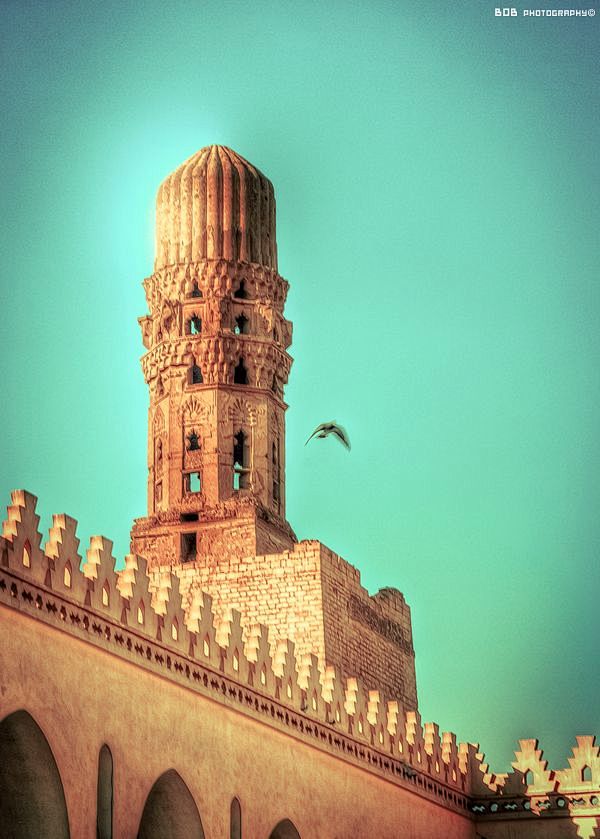 哈基姆双向阿姆鲁阿拉清真寺#埃及