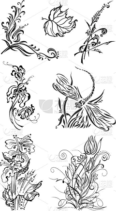 A蟠桃采集到花纹