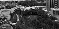 11&19采集到绿毯公园