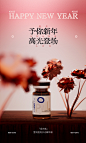 春节产品海报24