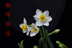 蓝紫色手机壁纸_百度图片搜索