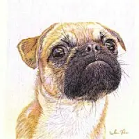 插画图库-插画作品欣赏-插画作品-手绘插画作品-插画图片—插画网 #治愈系#