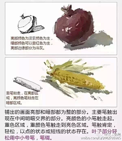 越狱熊~采集到参考-色彩配色