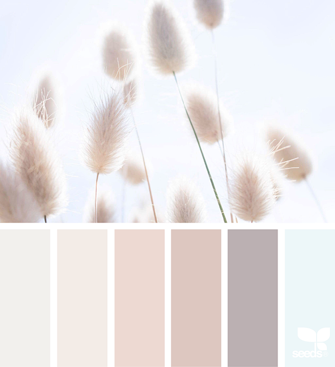 Design Seeds : Your ...