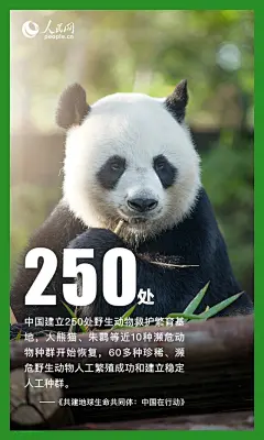 海报｜数读保护全球生物多样性的中国行动