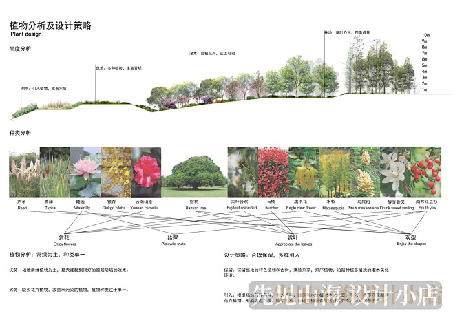 PS FXT002 景观园林 植物专项设计 植物种植分析图 PSD素材-淘宝网