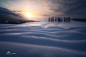 阿勒泰雪原之上