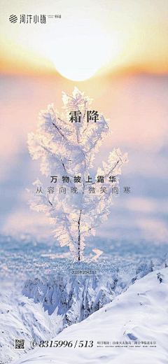 蓝~苹果采集到霜降