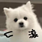 表情包