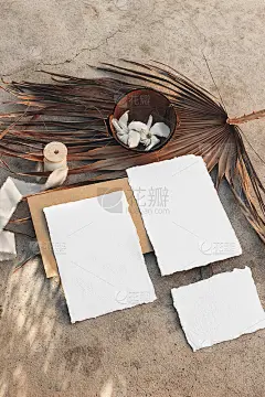 夏天结婚文具，生日现场。一套空白贺卡模型。阳光下的垃圾混凝土背景，长长的阴影。夹竹桃花，椰子和干棕榈