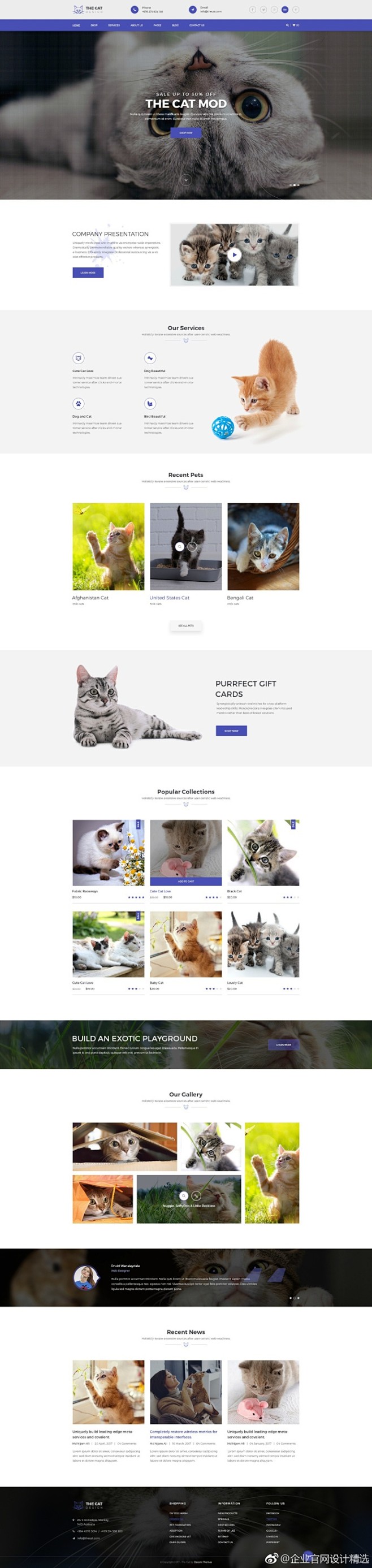一组给喵星人的猫咪宠物店官网设计参考 #...