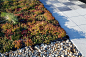 14-Waterfront-Park-Boston « Landscape Architecture Works | Landezine