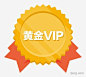 黄金VIP图标图标|黄金VIP图标|会员|VIP|超级VIP|超级会员|黄金|冠军|会员图标|vip图标|设计|标志图标|网页小图标|电话图标|手机图标|微信图标|小图标|人物图标|地址图标|qq图标|搜索图标|游戏图标|定位图标|箭头图标|日历图标|汽车图标|邮箱图标|房子图标|雪花图标|圆形图标|太阳图标|app图标|名片图标