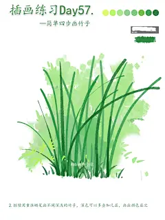 零基础插画教程｜简单四步画竹子！ - 小红书