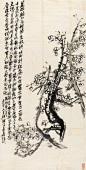 菜根咬不得，枯肠生杈枒。吐向剡溪藤，即作罗浮花。罗浮山隔数千里，顷刻飞来雪色纸。铁虬屈曲蟠墨池，缟衣翩翩舞仙子。老夫画梅三十身，天机自得作师传。 羊毫秃如垩墙帚，圈花颗颗明珠圆。成写换得玉壶酒，醉看浮云变苍狗。明朝更写百尺松，海山风来怒如吼。
（清 吴昌硕 墨梅）