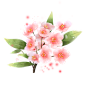 51miz-E1160678-F5FBC709