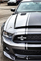 Sweet Mustang Shelby GT500