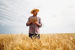 农民在帽子里查看麦田的进展，拿着写字板上网。