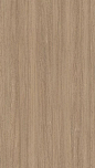 优质木纹贴图Тик Палау 24029