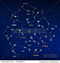 Set of zodiacal signs constellations on dark night sky. Vector illustration for your graphic design.