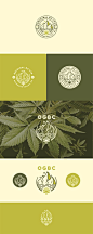 Logo design by bcostudios for OGBC, an all natural recreational cannabis product #weed #branding #lineart