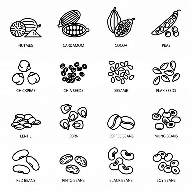 坚果，豆类和种子线图标集，食物符号集合。...