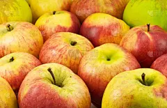 苹果,自然,选择对焦,饮食,式样,水平画幅,绿色,水果,秋天,无人