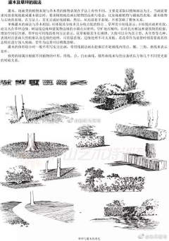 十羽214采集到自然景