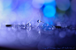 500px / Farewell song by Lafugue Logos