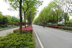 WonderfulTimes采集到隔离带