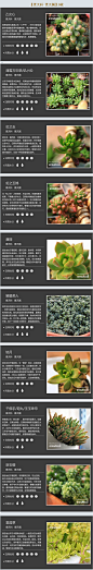 【景天科-景天属-9枚】【100种常见多肉植物图鉴】 + 多肉植物常见问题解答_二木花花男_新浪博客