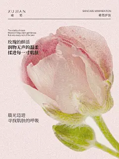 肌肤花期 - 小红书