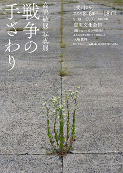 橘子味的葡萄干采集到文字排版