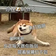 刘波儿~采集到表情包