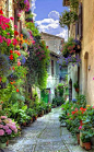 Verona Italy Street Flowers