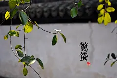 青简作品 唯美二十四节气桌面壁纸（超清）