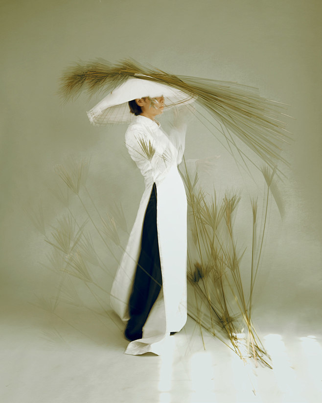 Aodai asian viet nam...
