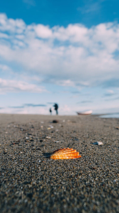 明小花花采集到海，河，水