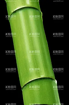 竹子 图片 竹叶 png  手  - 源文件下载【酷图网】竹子,图片,竹叶,png,手绘,竹子翠竹,绿竹,竹枝,竹报平安,中国风,竹,竹子绘画,竹子矢量图,竹子墙贴,挂画插画,竹子手绘,竹林,竹笋,卡通竹笋,插画,植物,意境竹枝,竹影清风,竹子背景,手绘竹,绿色竹子,春天,插画竹子,手绘绿植,绿色植物,富贵竹,竹子素材,竹素材,