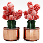 3D MODEL Red Cactus