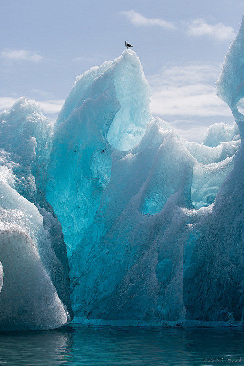 st0rming:



Jökulsá...