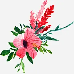 春季手绘水彩花卉手绘彩绘水彩插画高清素材 免抠 设计图片 免费下载 页面网页 平面电商 创意素材 png素材