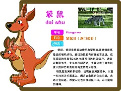 袋鼠 动物简介牌  - 源文件下载【酷图网】袋鼠,动物简介牌,平面广告,psd分层文件,喷绘,海报,写真,卡片,名片,卡券,图版,展架,站牌,价目表,彩页,灯箱,地贴,车贴,不干胶,封面,平面图,折页,模板,桌牌,停车牌,门头,联单,菜谱,设计,PSD分层素材,72DPI,PSD,