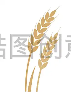 来源文件链接【锆图创意】小满芒种小麦麦子扁平元素