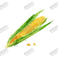 手绘彩色蔬菜免扣素材图片 【酷图网】玉米,青菜插画,蔬菜插画,手绘蔬菜,手绘青菜,健康饮食,果蔬,蔬菜,水果,饭菜,绿色蔬菜,食物手绘,小清新,素材,美食,餐饮,手绘,食材,插画,火锅食材,食物,光盘行动,拒绝浪费,光盘,公益,宣传,卡通,PNG,免抠,免抠图,抠图,元素,透明,蔬菜素材,蔬菜沙拉,沙拉,有机蔬菜,天然,健康