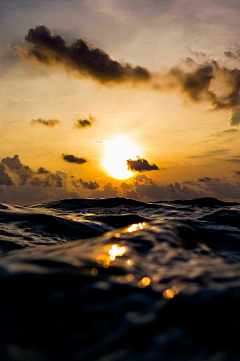 凉木采集到海云天