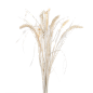 天然谷穗小米穗干花花束客餐厅桌面插花家居装饰花艺摆件拍照道具