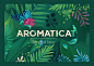 Aromaticat : Project:Silica gel cat litter AromaticatTask:To develop the name and the creative visual concept of the silica gel cat litter brand.Problem:Choice of cat litter is a delicate subject. On the one hand it has to be comfortable for the pet, yet 