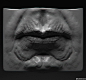 Zbrush雕刻嘴巴、眼睛、鼻子及耳朵模型教程 – Sculpting the Facial Features|百度网盘|影视动画论坛 - http://www.cgdream.com.cn